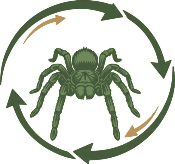 Pet-sitting NAC métropole lilloise - Insectes